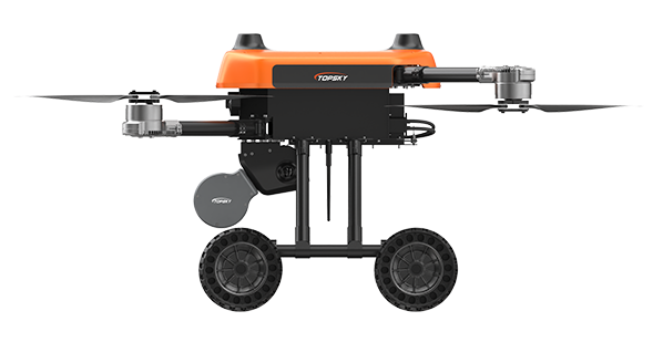 美女的隐藏部位是什么图片