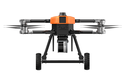 美女的隐藏部位是什么图片