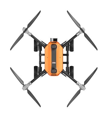 美女的隐藏部位是什么图片