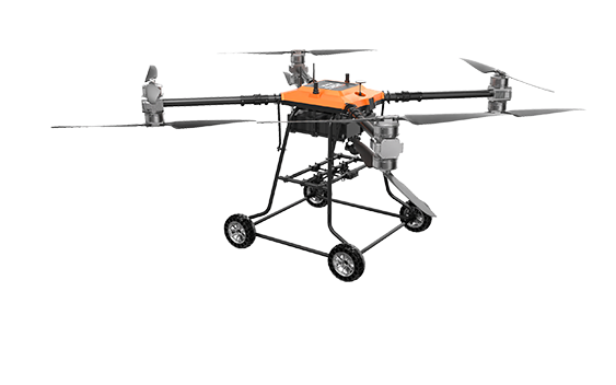 美女的隐藏部位是什么图片