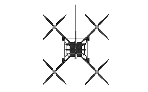 美女的隐藏部位是什么图片