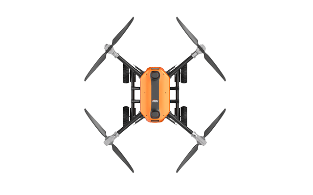 美女的隐藏部位是什么图片