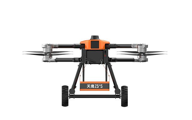 美女的隐藏部位是什么图片