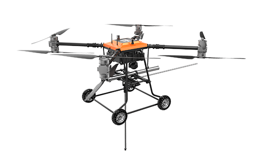 美女的隐藏部位是什么图片