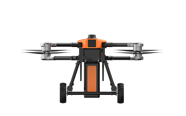 美女的隐藏部位是什么图片