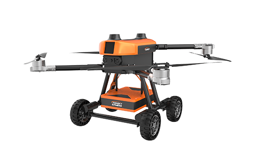 美女的隐藏部位是什么图片