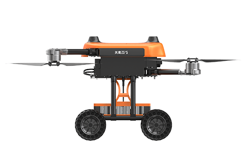 美女的隐藏部位是什么图片