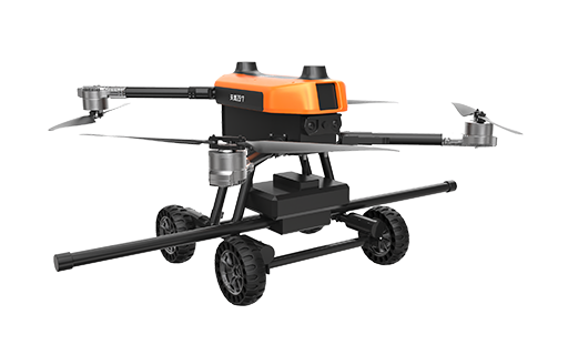 美女的隐藏部位是什么图片