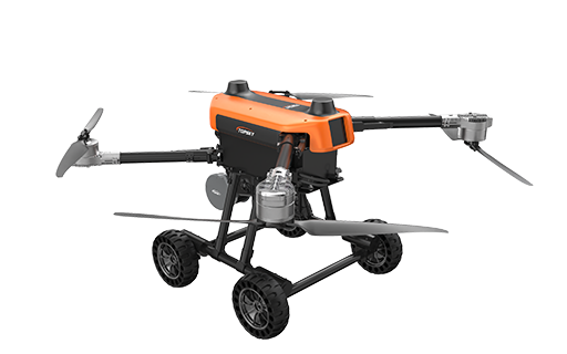 美女的隐藏部位是什么图片