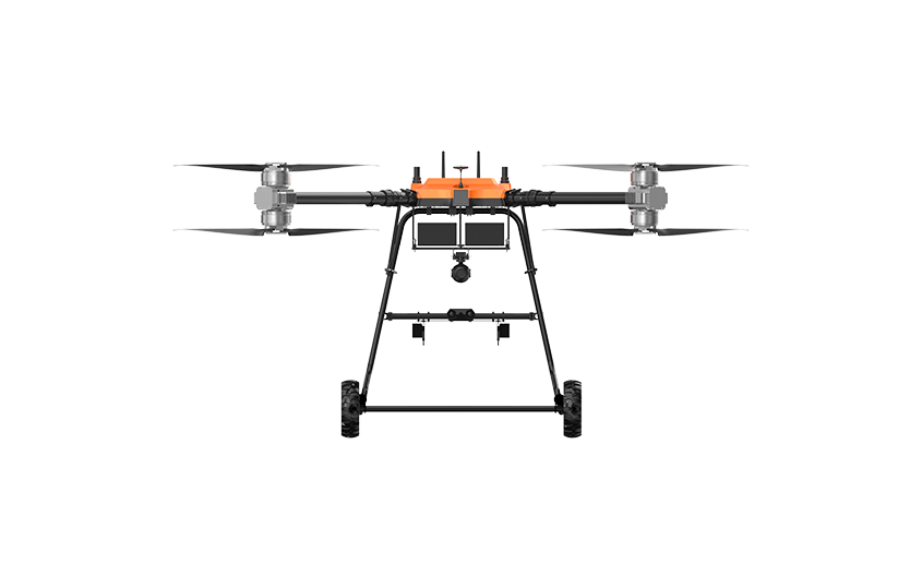 美女的隐藏部位是什么图片