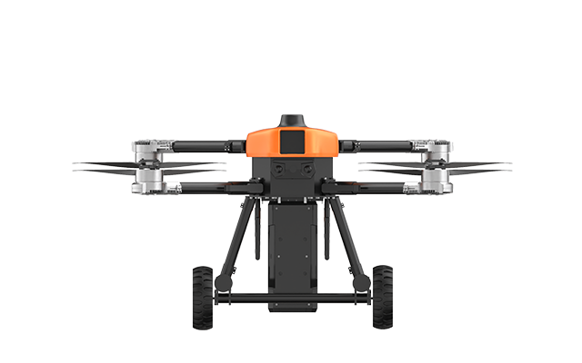 美女的隐藏部位是什么图片