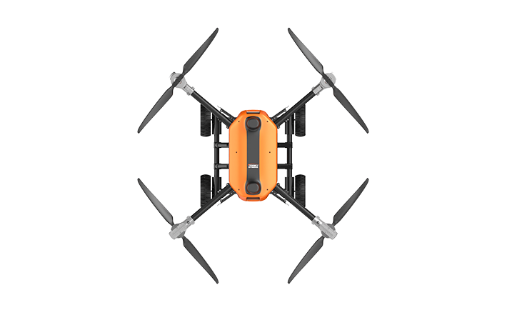 美女的隐藏部位是什么图片