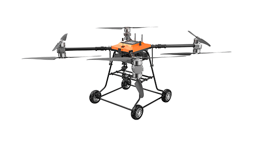 美女的隐藏部位是什么图片