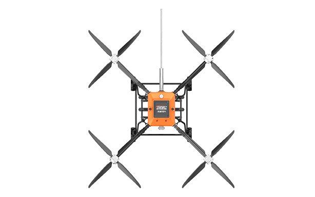 美女的隐藏部位是什么图片