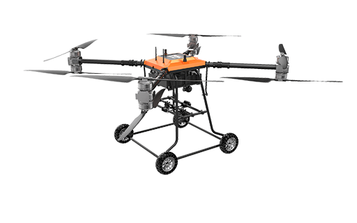 美女的隐藏部位是什么图片