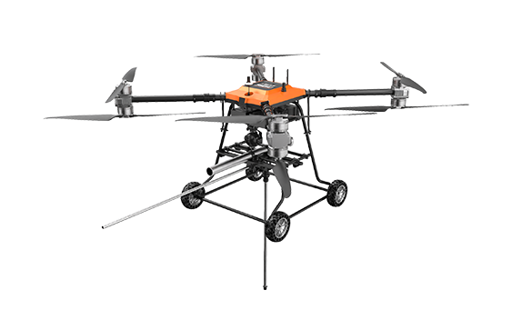 美女的隐藏部位是什么图片