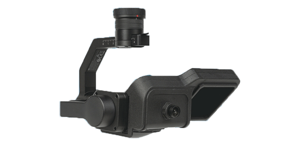 美女的隐藏部位是什么图片