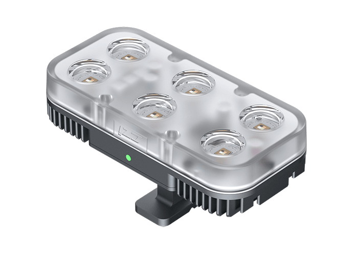 美女的隐藏部位是什么图片