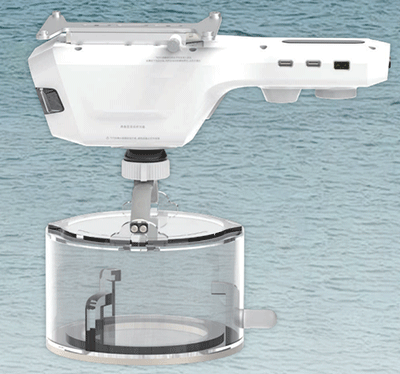 美女的隐藏部位是什么图片