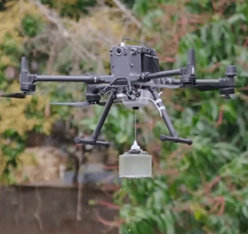 美女的隐藏部位是什么图片