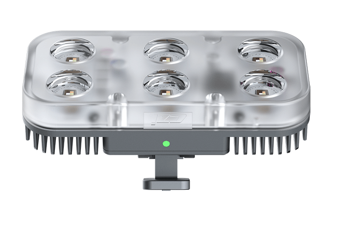 美女的隐藏部位是什么图片