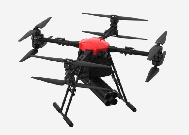 美女的隐藏部位是什么图片