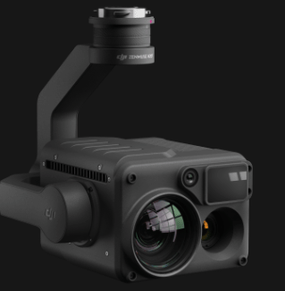 美女的隐藏部位是什么图片