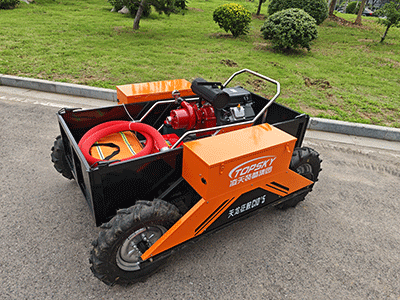 美女的隐藏部位是什么图片