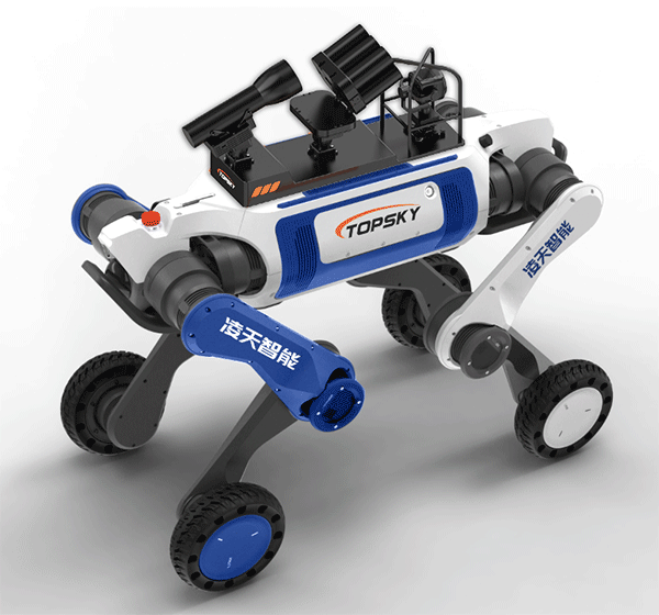 美女的隐藏部位是什么图片