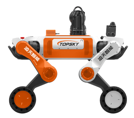 美女的隐藏部位是什么图片