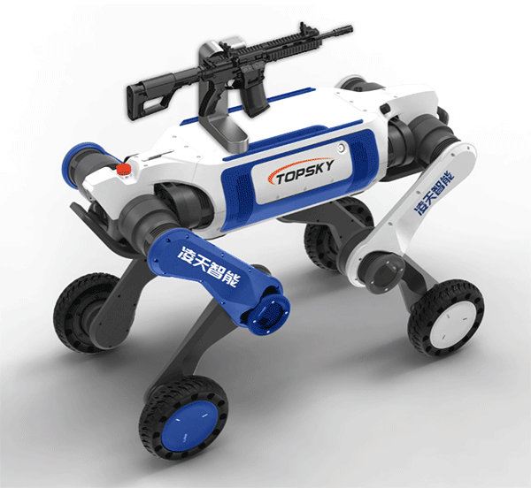 美女的隐藏部位是什么图片