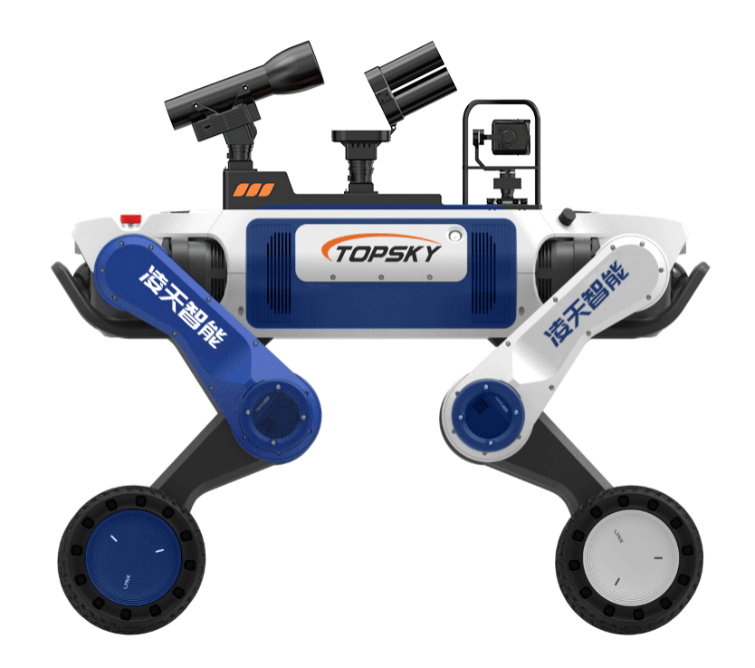 美女的隐藏部位是什么图片