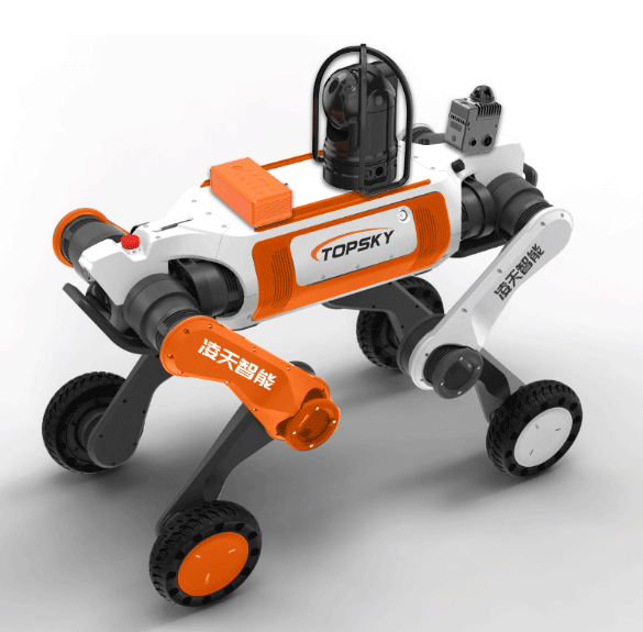 美女的隐藏部位是什么图片