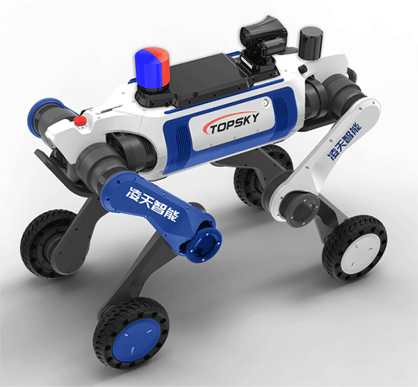 美女的隐藏部位是什么图片