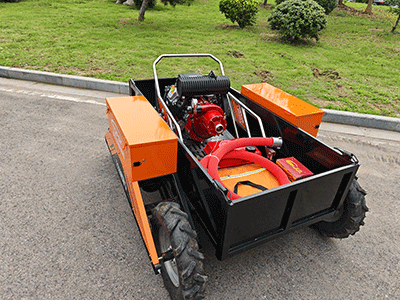 美女的隐藏部位是什么图片