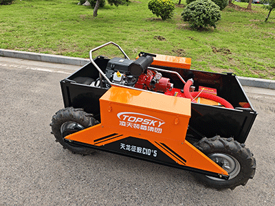 美女的隐藏部位是什么图片