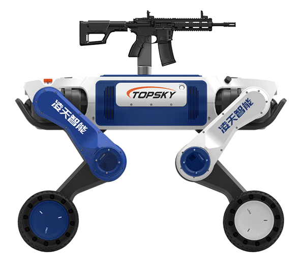 美女的隐藏部位是什么图片