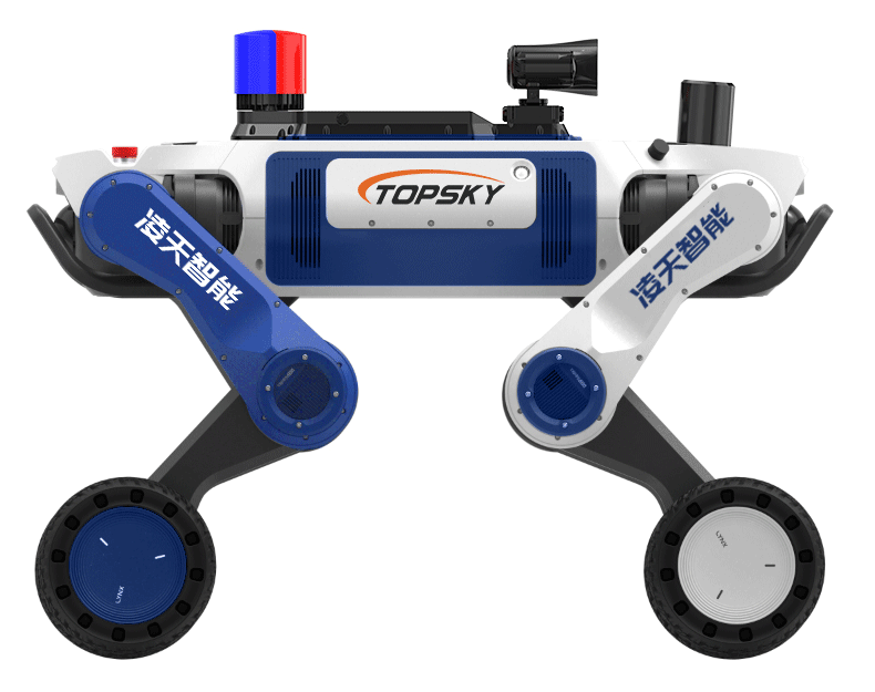 美女的隐藏部位是什么图片