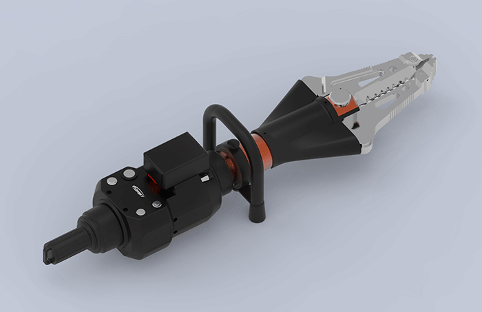 美女的隐藏部位是什么图片