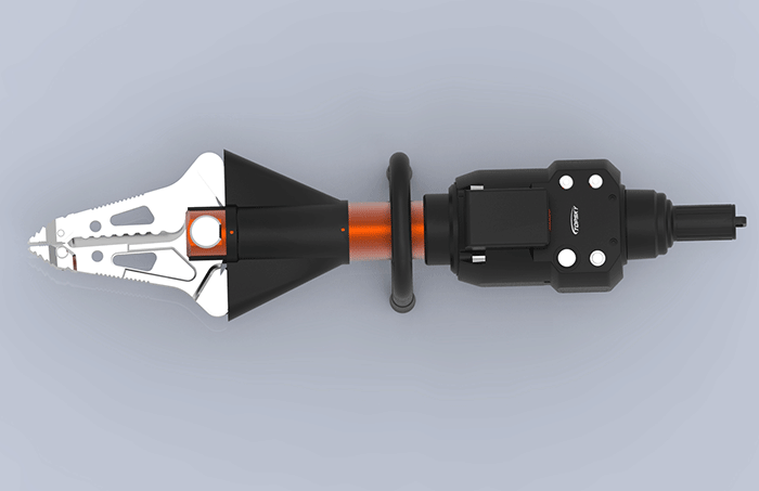 美女的隐藏部位是什么图片