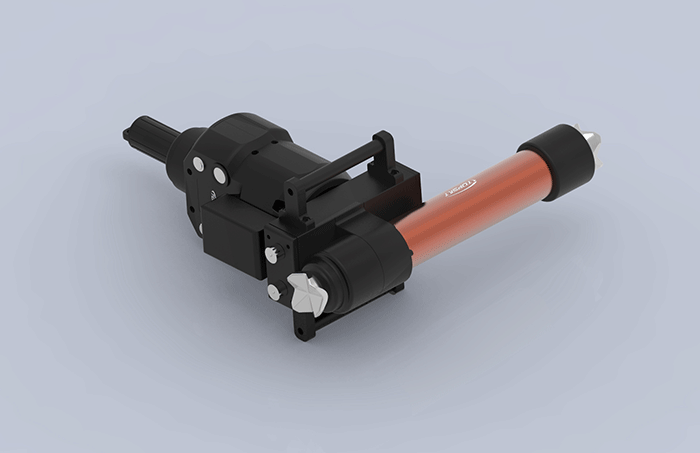 美女的隐藏部位是什么图片