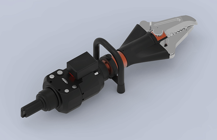 美女的隐藏部位是什么图片