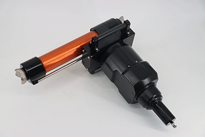 美女的隐藏部位是什么图片