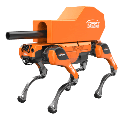 美女的隐藏部位是什么图片