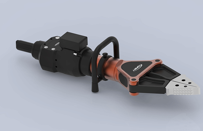 美女的隐藏部位是什么图片