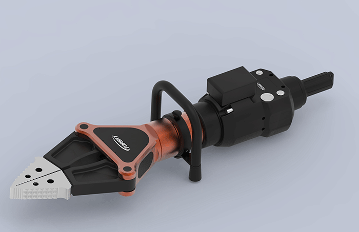 美女的隐藏部位是什么图片