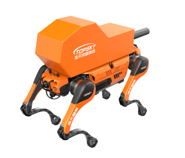 美女的隐藏部位是什么图片