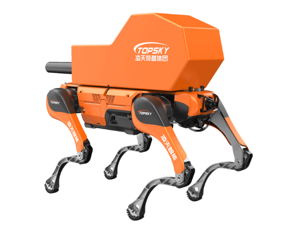 美女的隐藏部位是什么图片