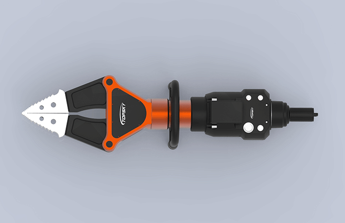 美女的隐藏部位是什么图片