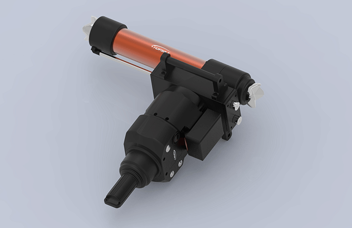 美女的隐藏部位是什么图片